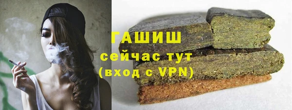 apvp Алзамай