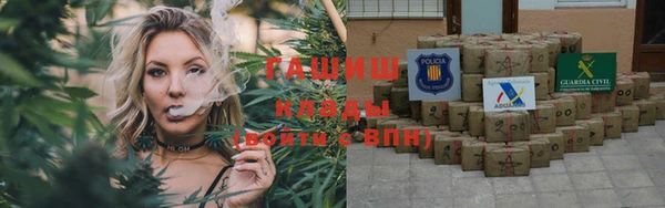 apvp Алзамай