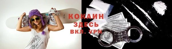 apvp Алзамай