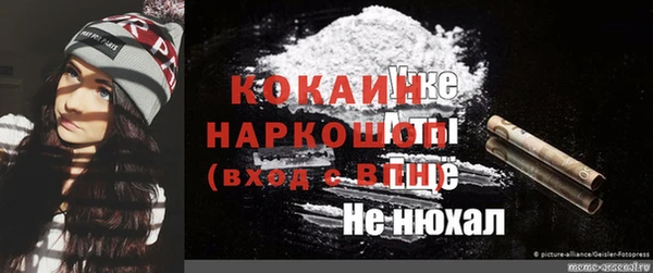 гидра Алексин